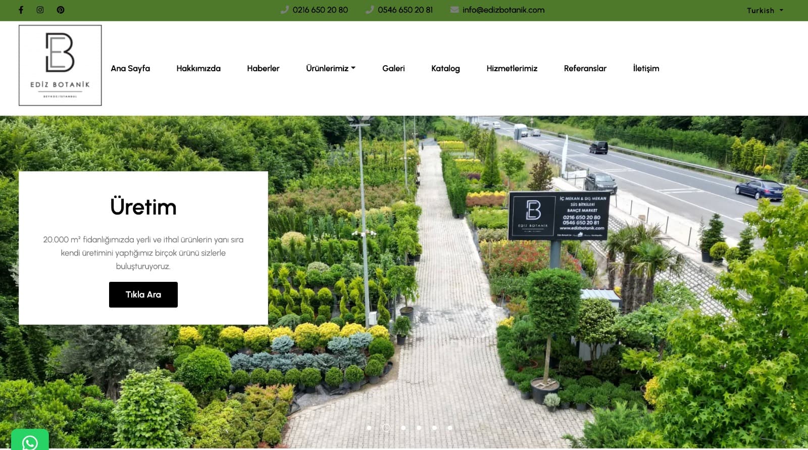 Ediz Botanik previous website design